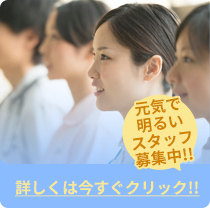 採用情報